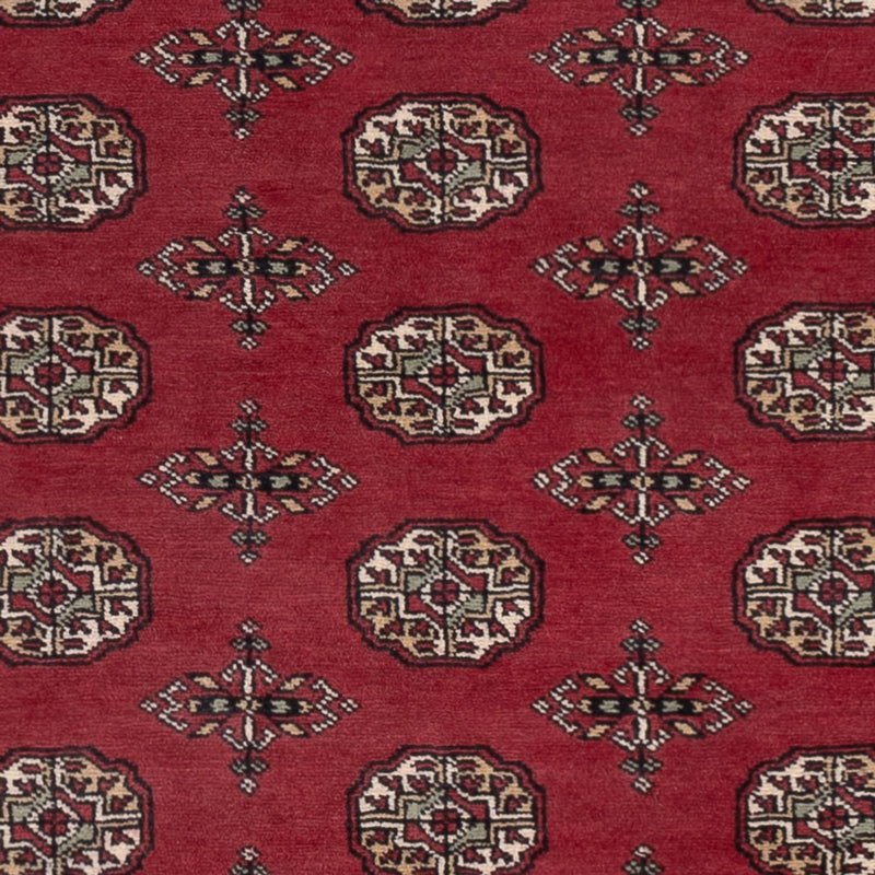 Pakistan Teppich - 204 x 141 cm - rot
