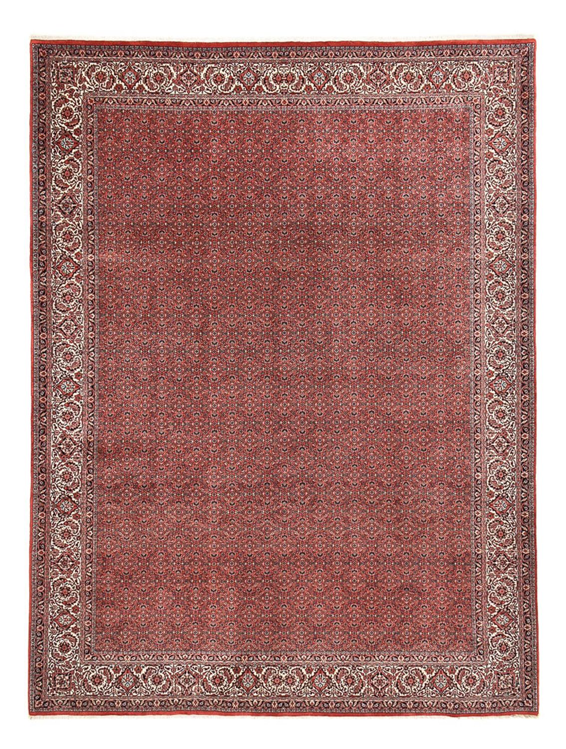 Perserteppich - Bidjar - 392 x 300 cm - bordeauxrot