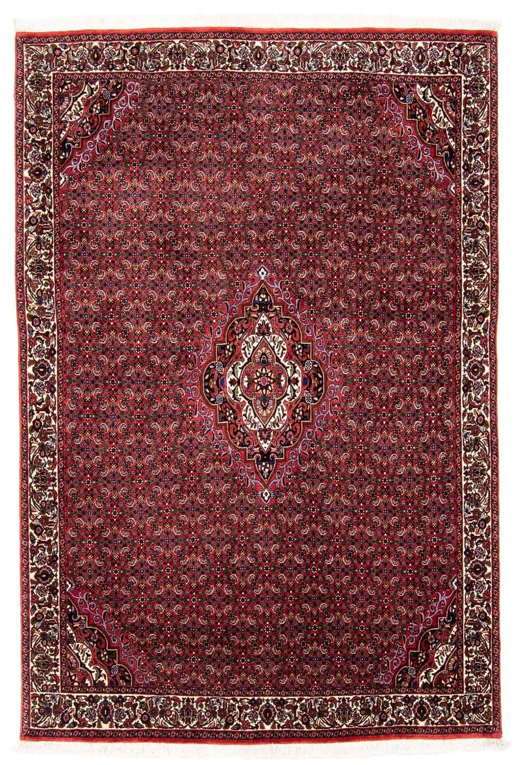 Perserteppich - Bidjar 241 x 172 cm