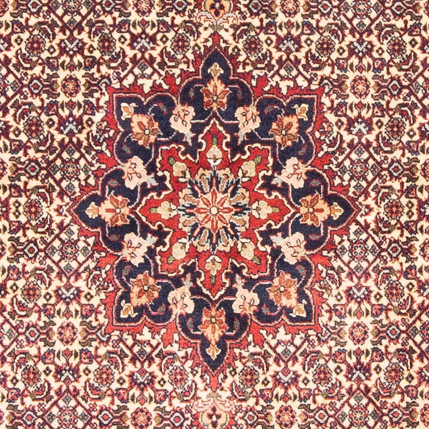 Perserteppich - Bidjar - Royal 151 x 88 cm