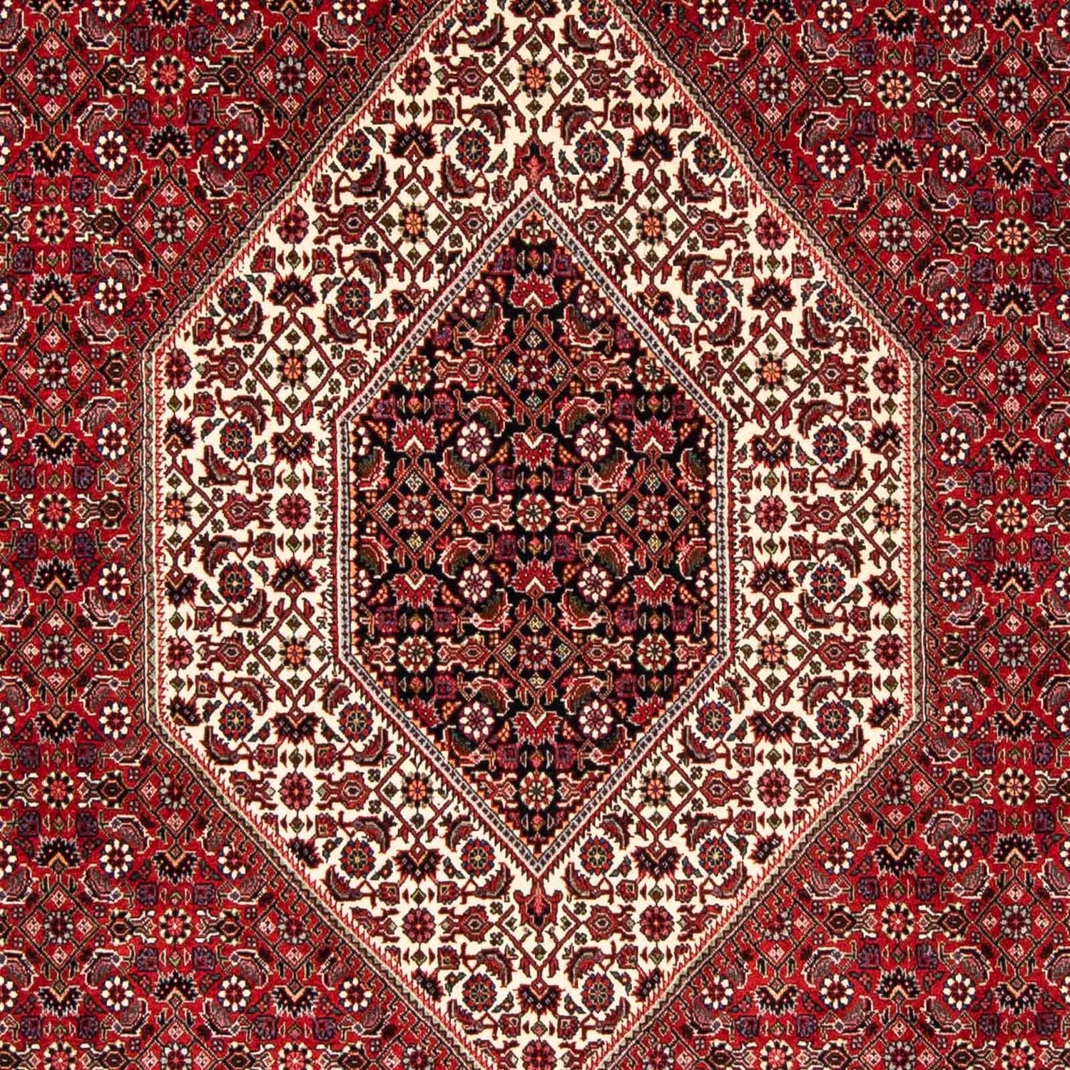 Perserteppich - Bidjar 246 x 170 cm