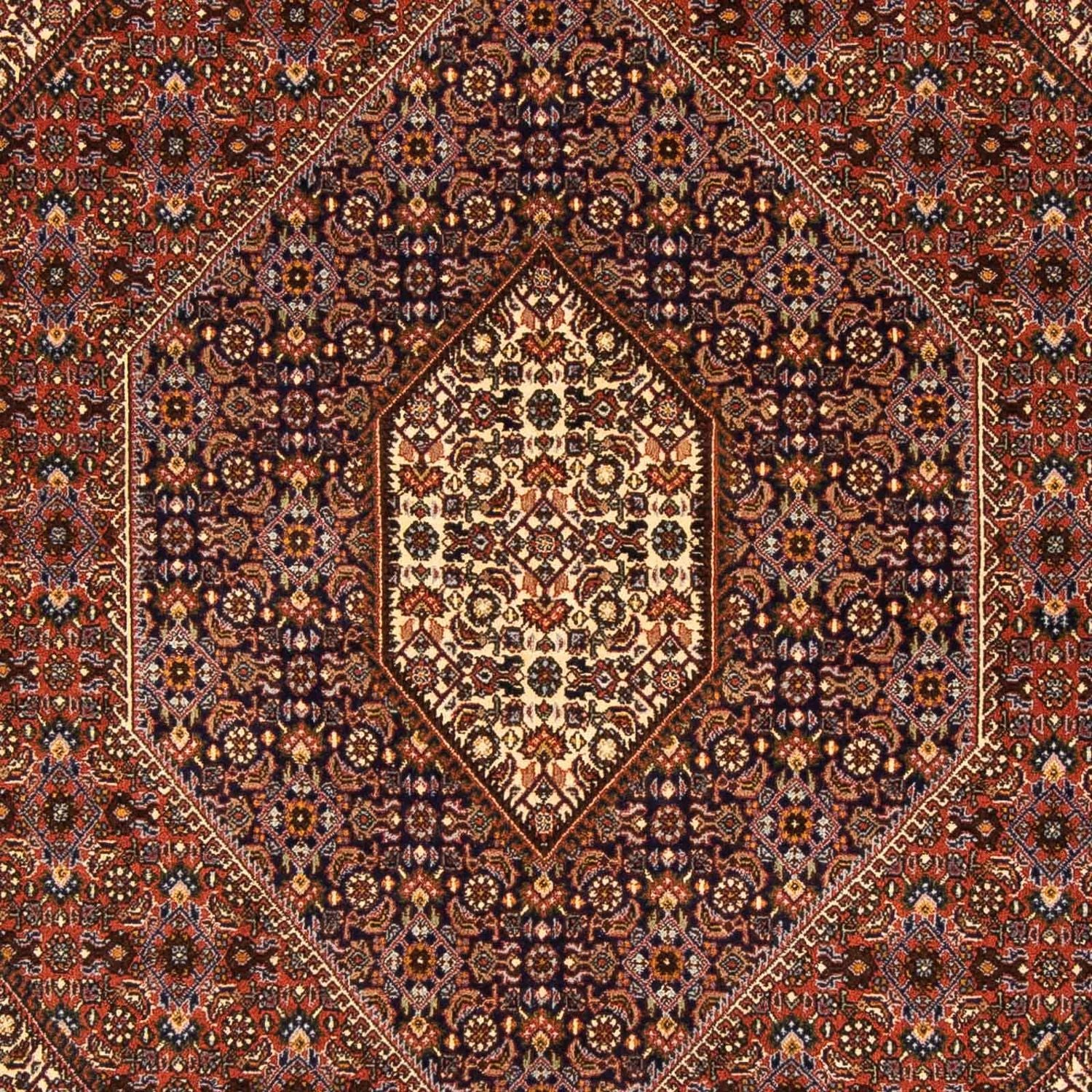 Perserteppich - Bidjar 237 x 170 cm