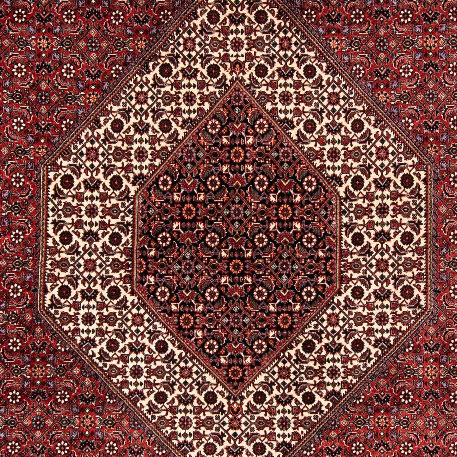 Perserteppich - Bidjar 254 x 174 cm