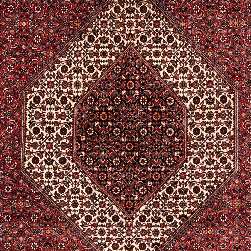 Perserteppich - Bidjar 254 x 174 cm