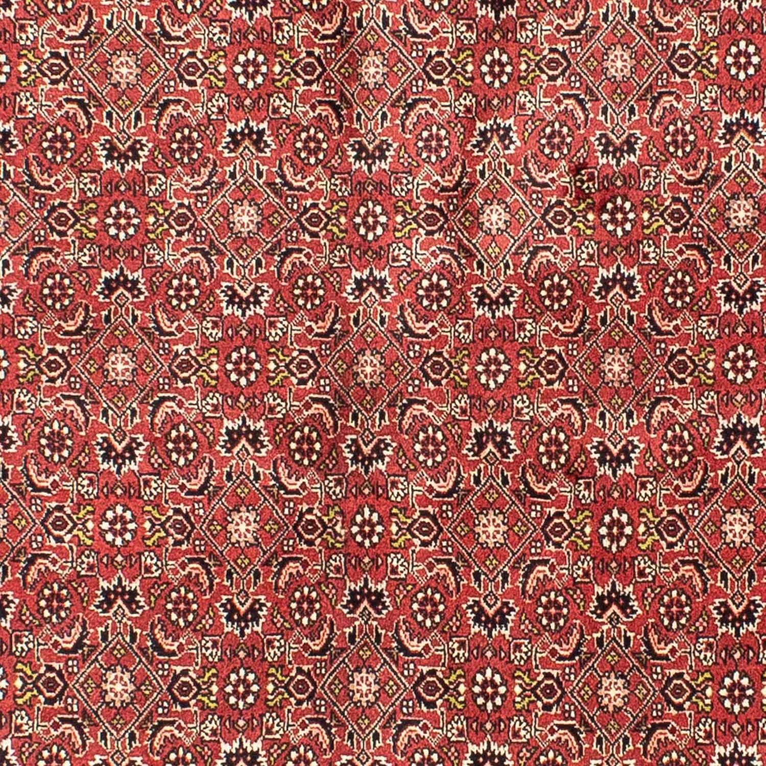 Perserteppich - Bidjar 205 x 141 cm