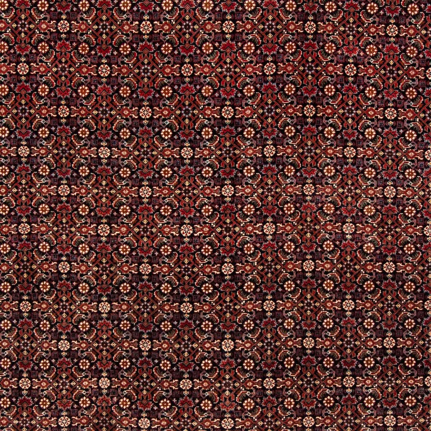 Perserteppich - Bidjar 248 x 205 cm