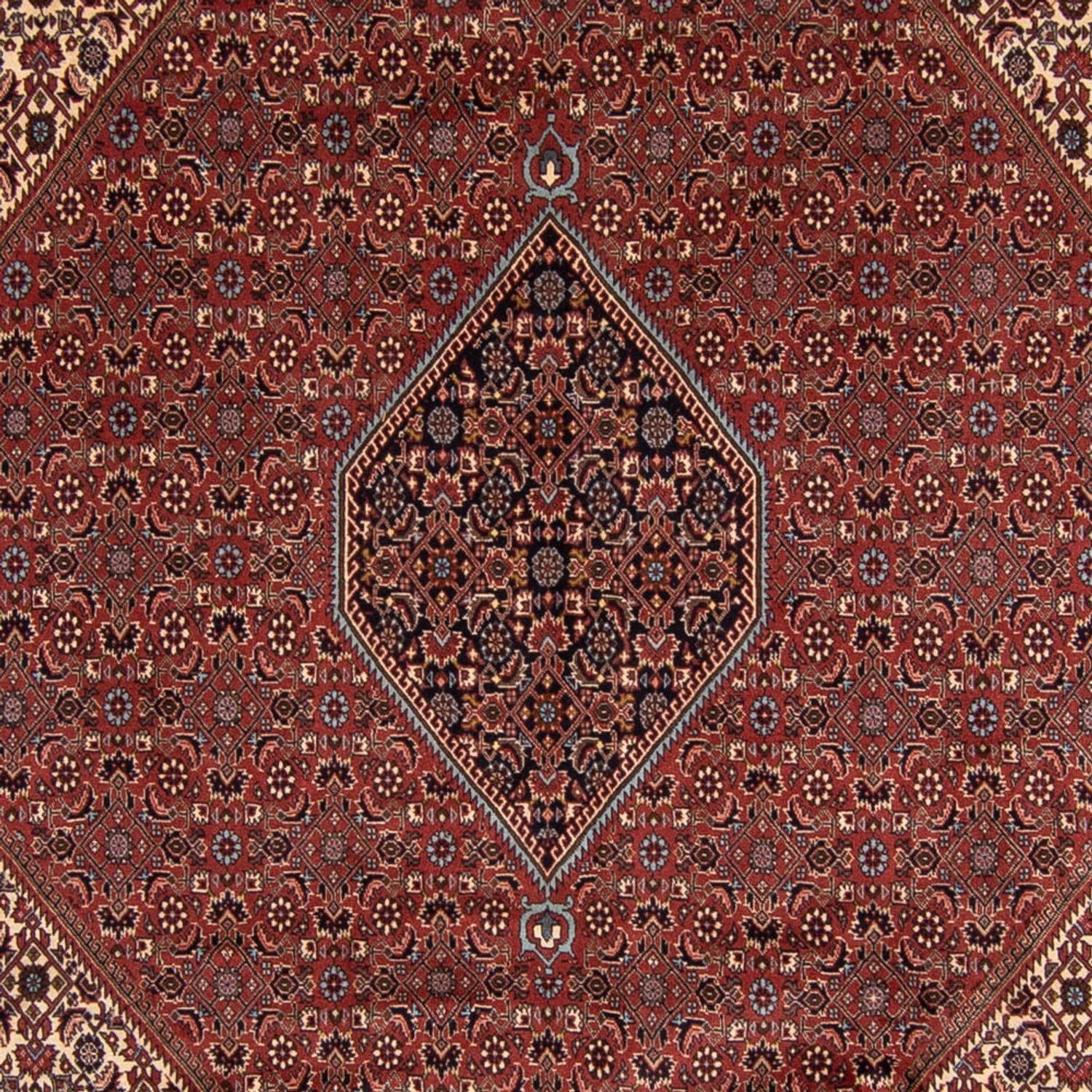 Perserteppich - Bidjar 342 x 250 cm