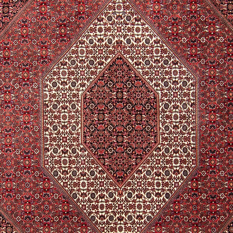 Perserteppich - Bidjar 297 x 250 cm